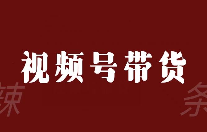 视频号带货联盟，赚信息差的带货钱，只需手机随时随地都可以做！-汇智资源网