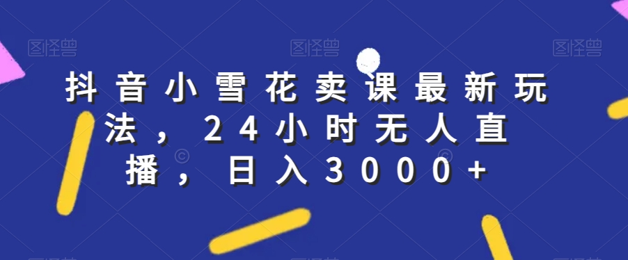 抖音小雪花卖课最新玩法，24小时无人直播，日入3000+【揭秘】-汇智资源网