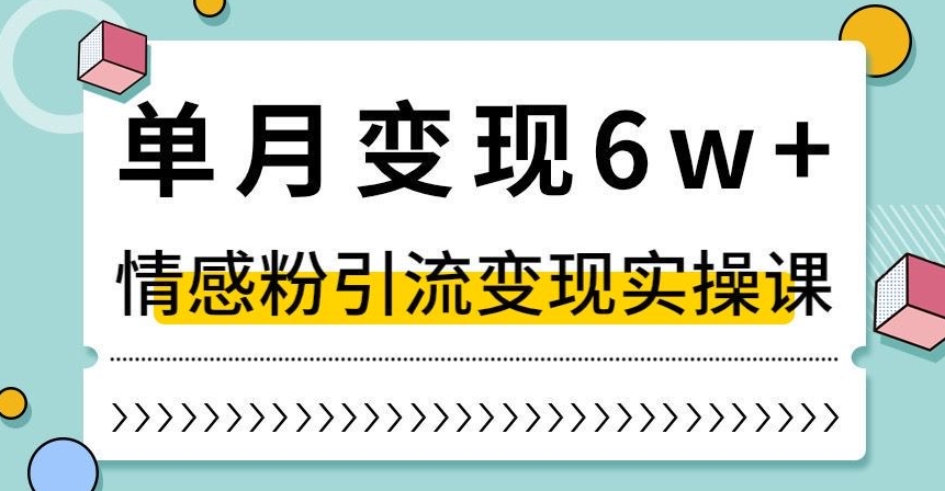 单月变现6W+，抖音情感粉引流变现实操课，小白可做，轻松上手，独家赛道【揭秘】-汇智资源网