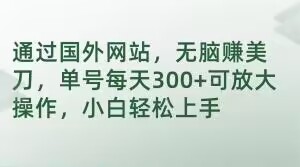 通过国外网站，无脑赚美刀，单号每天300+可放大操作，小白轻松上手【揭秘】-汇智资源网