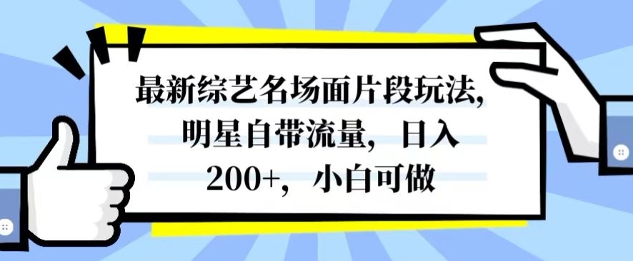 最新综艺名场面片段玩法，明星自带流量，日入200+，小白可做【揭秘】-汇智资源网