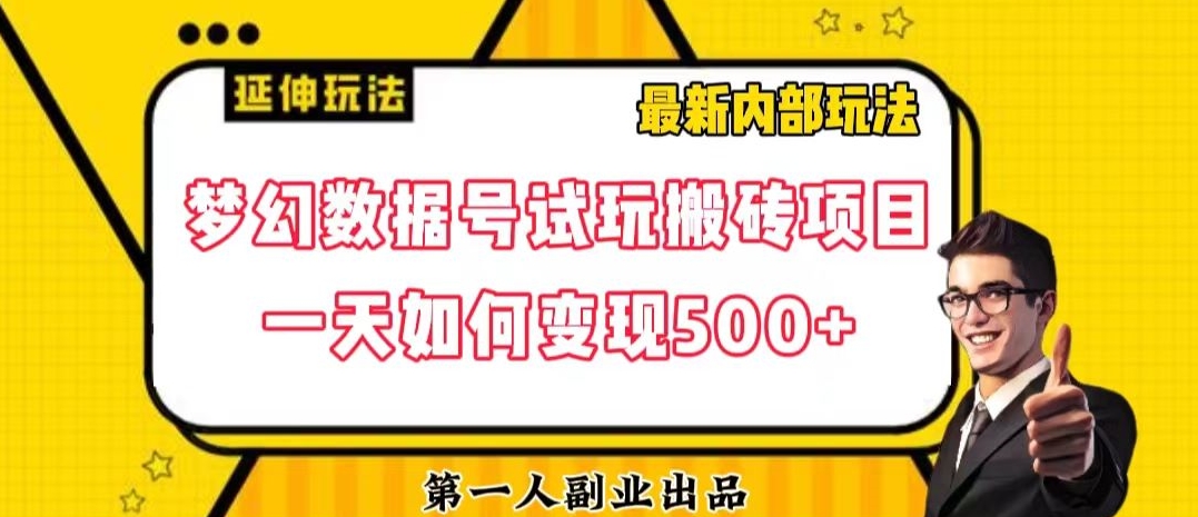 数据号回归玩法游戏试玩搬砖项目再创日入500+【揭秘】-汇智资源网