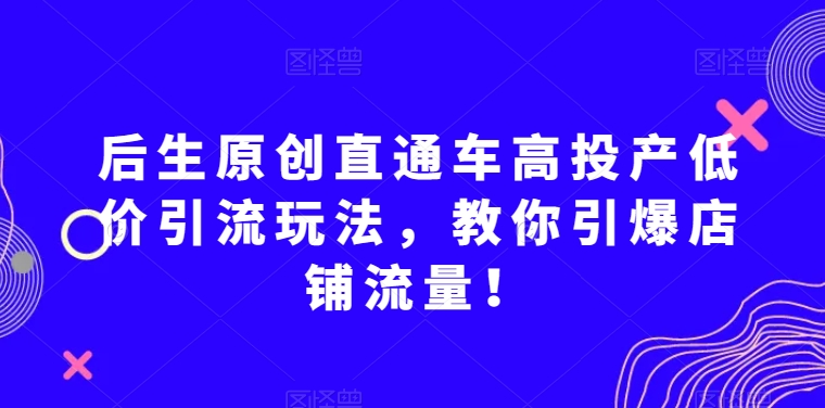 后生原创直通车高投产低价引流玩法，教你引爆店铺流量！-汇智资源网