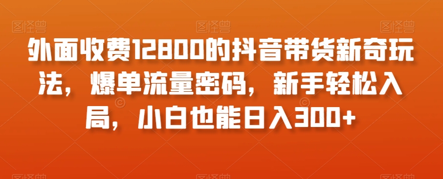 外面收费12800的抖音带货新奇玩法，爆单流量密码，新手轻松入局，小白也能日入300+【揭秘】-汇智资源网