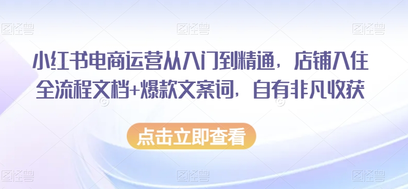 小红书电商运营从入门到精通，店铺入住全流程文档+爆款文案词，自有非凡收获-汇智资源网