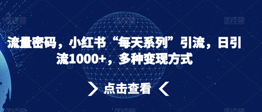 流量密码，小红书“每天系列”引流，日引流1000+，多种变现方式【揭秘】-汇智资源网