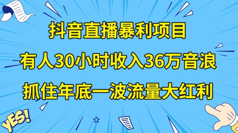 抖音直播暴利项目，有人30小时收入36万音浪，公司宣传片年会视频制作，抓住年底一波流量大红利【揭秘】-汇智资源网