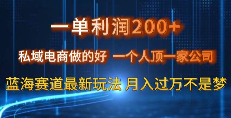 一单利润200私域电商做的好，一个人顶一家公司蓝海赛道最新玩法【揭秘】-汇智资源网