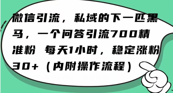 怎么搞精准创业粉？微信新赛道，每天一小时，利用Ai一个问答日引100精准粉-汇智资源网