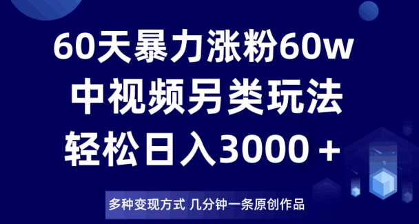 60天暴力涨粉60W，中视频另类玩法，日入3000＋，几分钟一条原创作品多种变现方式-汇智资源网