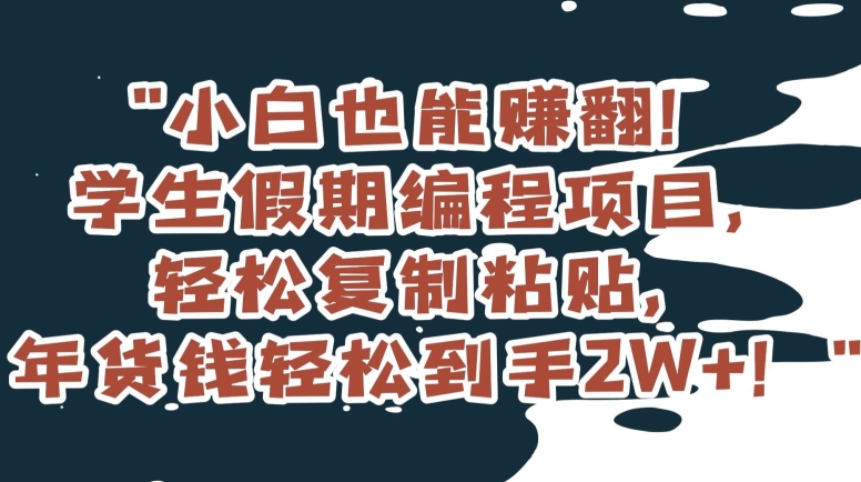 小白也能赚翻！学生假期编程项目，轻松复制粘贴，年货钱轻松到手2W+【揭秘】-汇智资源网