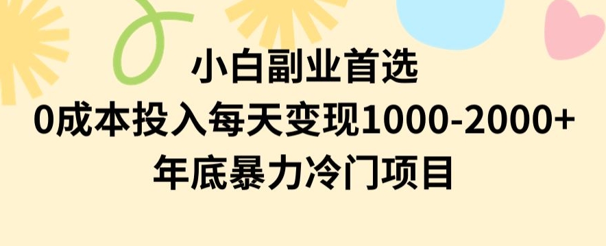 小白副业首选，0成本投入，每天变现1000-2000年底暴力冷门项目【揭秘】-汇智资源网