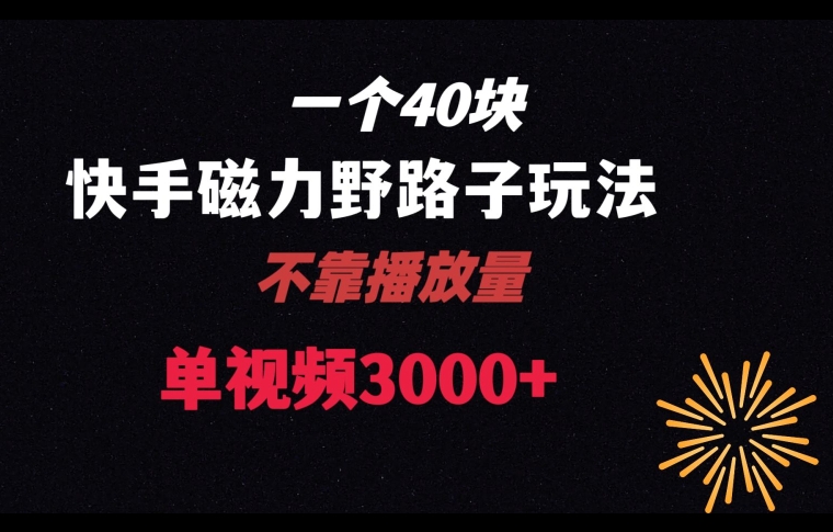 一个40块，快手联合美团磁力新玩法，无视机制野路子玩法，单视频收益4位数【揭秘】-汇智资源网