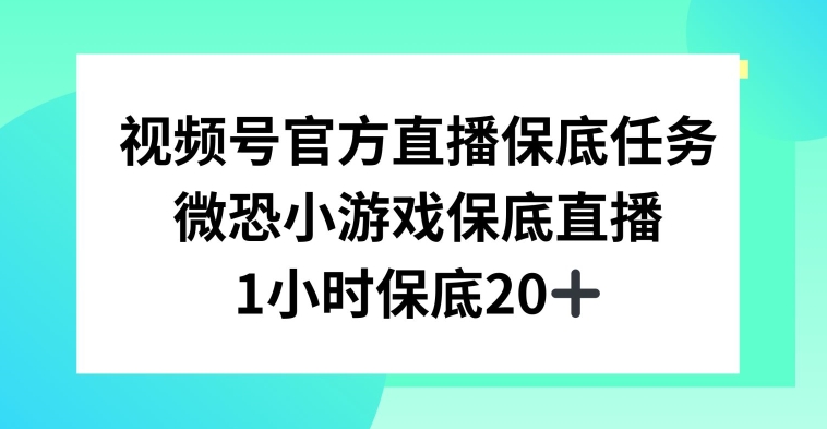 视频号直播任务，微恐小游戏，1小时20+【揭秘】-汇智资源网