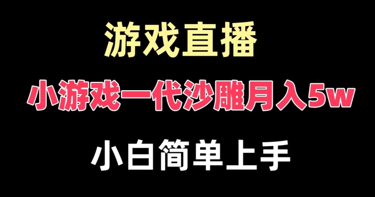 玩小游戏一代沙雕月入5w，爆裂变现，快速拿结果，高级保姆式教学【揭秘】-汇智资源网