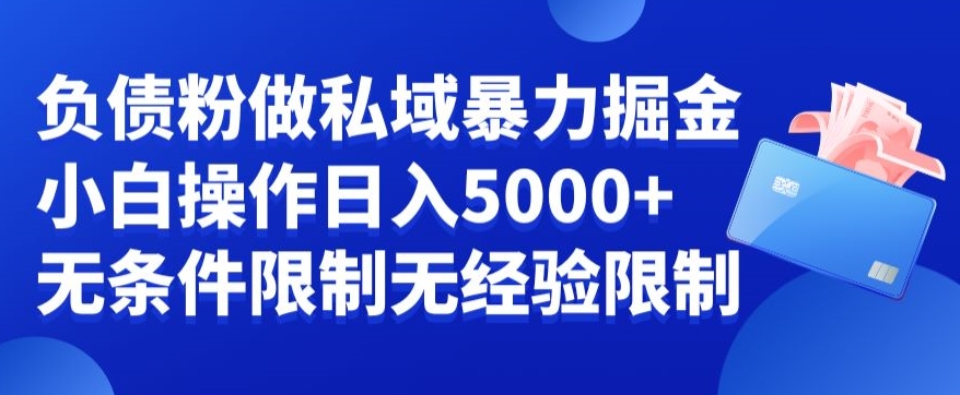 负债粉私域暴力掘金，小白操作入5000，无经验限制，无条件限制【揭秘】-汇智资源网