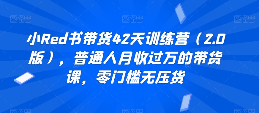 小Red书带货42天训练营（2.0版），普通人月收过万的带货课，零门槛无压货-汇智资源网