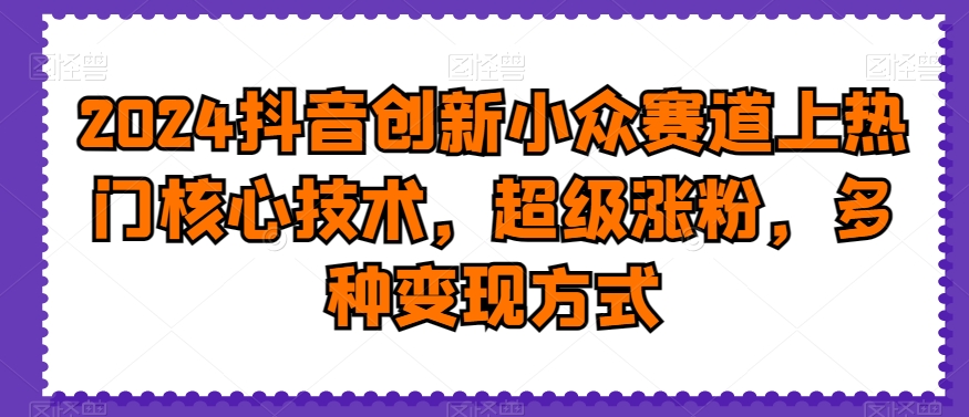 2024抖音创新小众赛道上热门核心技术，超级涨粉，多种变现方式【揭秘】-汇智资源网