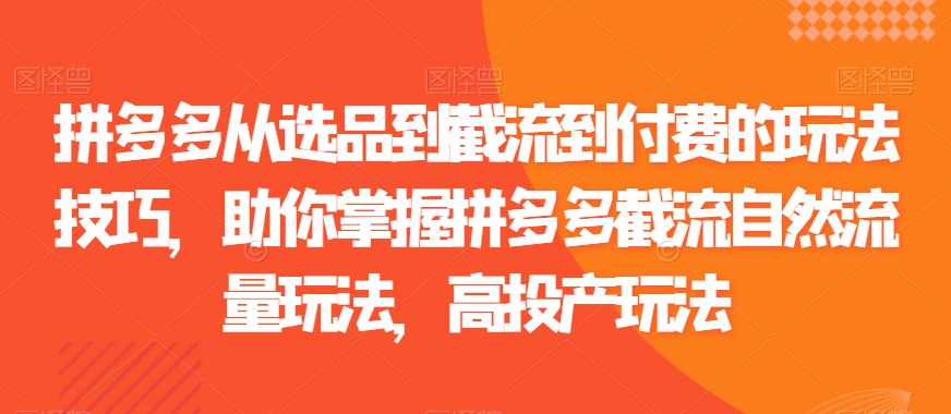 拼多多从选品到截流到付费的玩法技巧，助你掌握拼多多截流自然流量玩法，高投产玩法-汇智资源网