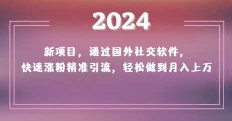 2024新项目，通过国外社交软件，快速涨粉精准引流，轻松做到月入上万【揭秘】-汇智资源网