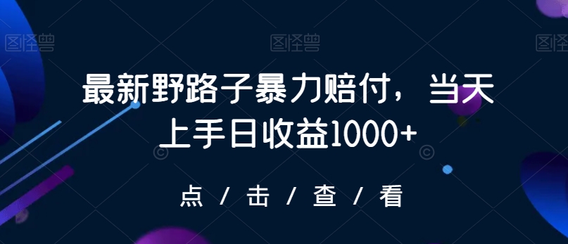 最新野路子暴力赔付，当天上手日收益1000+【仅揭秘】-汇智资源网