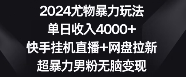 2024尤物暴力玩法，单日收入4000+，快手挂机直播+网盘拉新，超暴力男粉无脑变现【揭秘】-汇智资源网