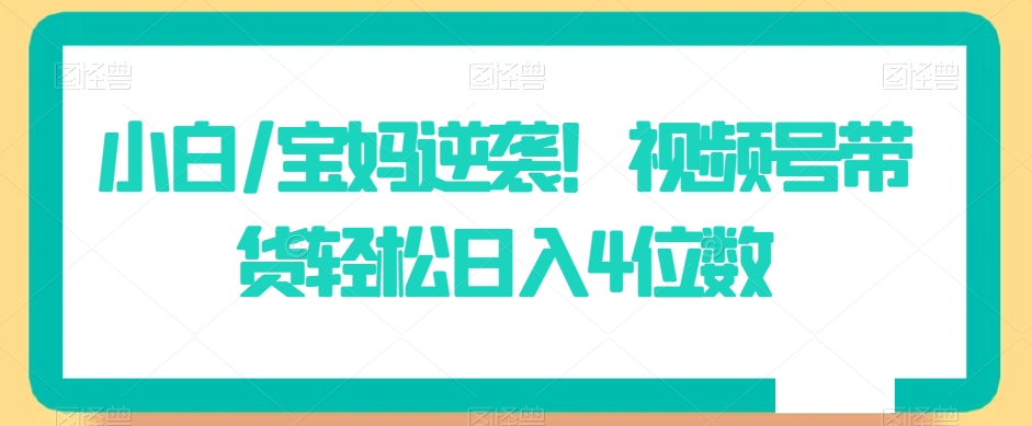 小白/宝妈逆袭！视频号带货轻松日入4位数【揭秘】-汇智资源网