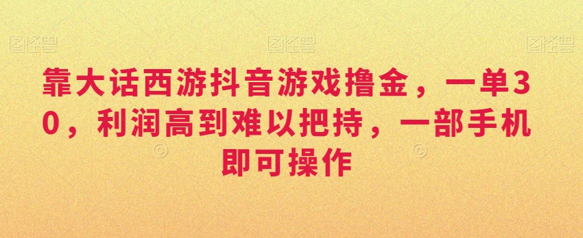 靠大话西游抖音游戏撸金，一单30，利润高到难以把持，一部手机即可操作，日入3000+【揭秘】-汇智资源网