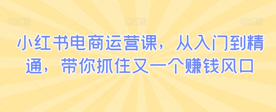 小红书电商运营课，从入门到精通，带你抓住又一个赚钱风口-汇智资源网