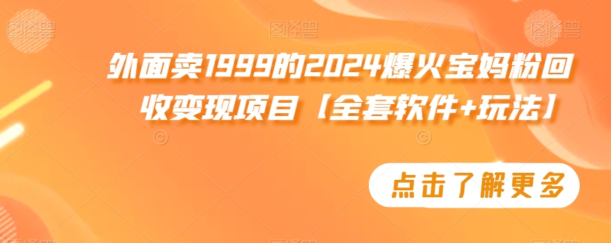 外面卖1999的2024爆火宝妈粉回收变现项目【全套软件+玩法】【揭秘】-汇智资源网