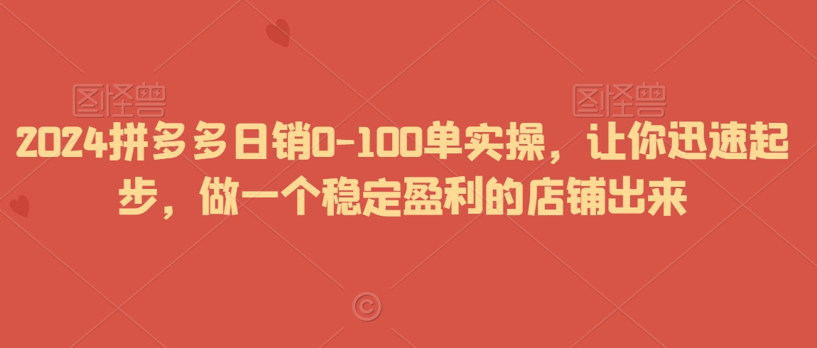 2024拼多多日销0-100单实操，让你迅速起步，做一个稳定盈利的店铺出来-汇智资源网