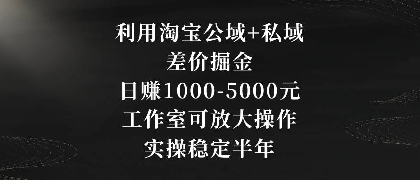 利用淘宝公域+私域差价掘金，日赚1000-5000元，工作室可放大操作，实操稳定半年【揭秘】-汇智资源网