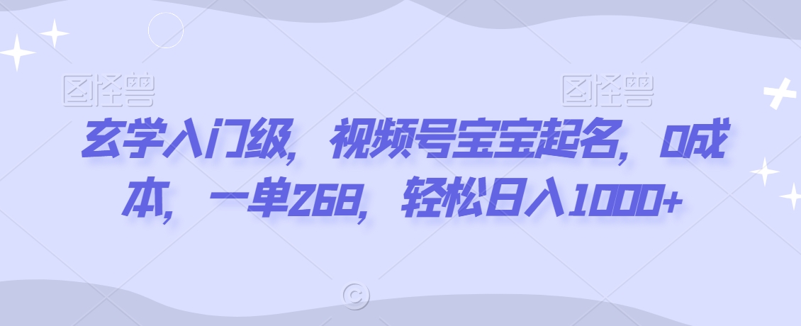 玄学入门级，视频号宝宝起名，0成本，一单268，轻松日入1000+【揭秘】-汇智资源网