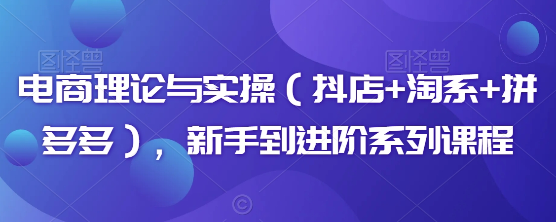 电商理论与实操（抖店+淘系+拼多多），新手到进阶系列课程-汇智资源网