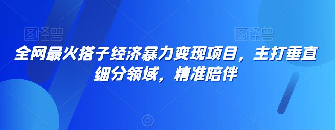 全网最火搭子经济暴力变现项目，主打垂直细分领域，精准陪伴【揭秘】-汇智资源网