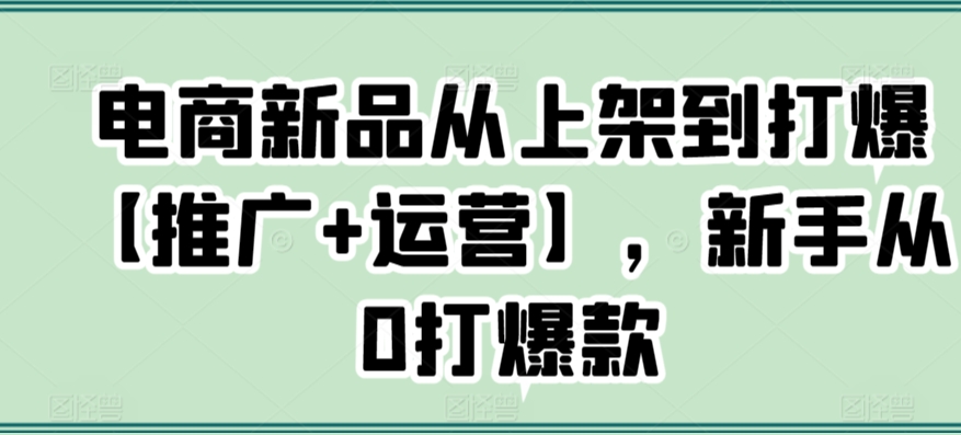 电商新品从上架到打爆【推广+运营】，新手从0打爆款-汇智资源网