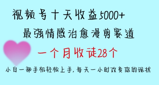 十天收益5000+，多平台捞金，视频号情感治愈漫剪，一个月收徒28个，小白一部手机轻松上手【揭秘】-汇智资源网