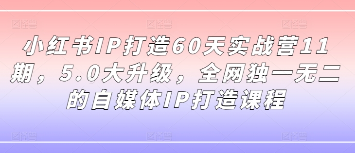 小红书IP打造60天实战营11期，5.0大升级，全网独一无二的自媒体IP打造课程-汇智资源网