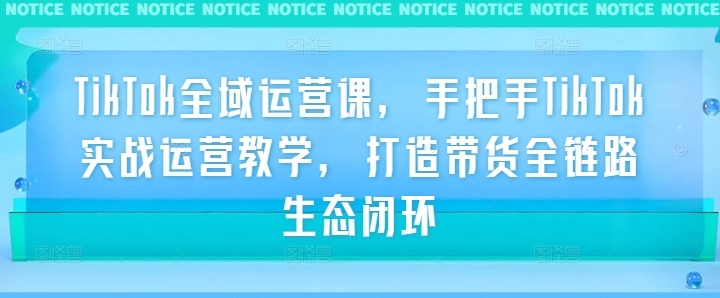 TikTok全域运营课，手把手TikTok实战运营教学，打造带货全链路生态闭环-汇智资源网