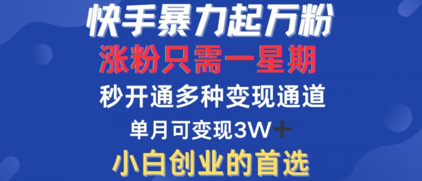 快手暴力起万粉，涨粉只需一星期，多种变现模式，直接秒开万合，单月变现过W【揭秘】-汇智资源网