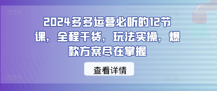 2024多多运营必听的12节课，全程干货，玩法实操，爆款方案尽在掌握-汇智资源网