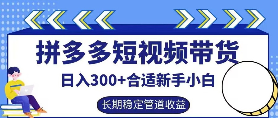 拼多多短视频带货日入300+有长期稳定被动收益，合适新手小白【揭秘】-汇智资源网