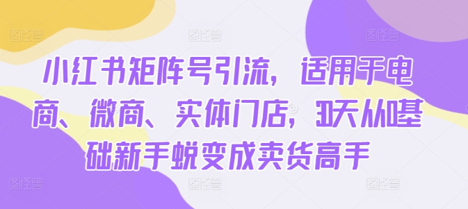 小红书矩阵号引流，适用于电商、微商、实体门店，30天从0基础新手蜕变成卖货高手-汇智资源网