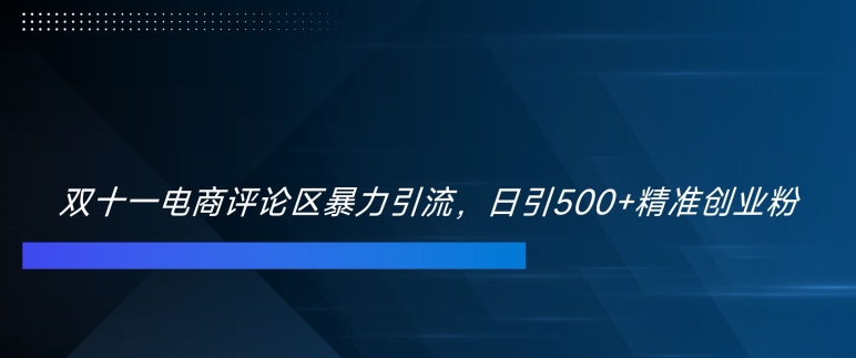 双十一电商评论区暴力引流，日引500+精准创业粉【揭秘】-汇智资源网