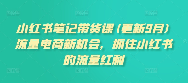 小红书笔记带货课(更新11月)流量电商新机会，抓住小红书的流量红利-汇智资源网