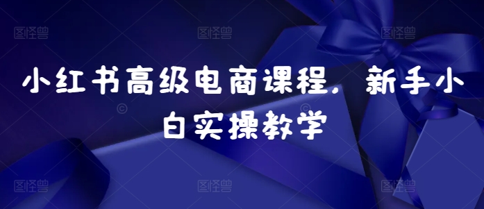 小红书高级电商课程，新手小白实操教学-汇智资源网