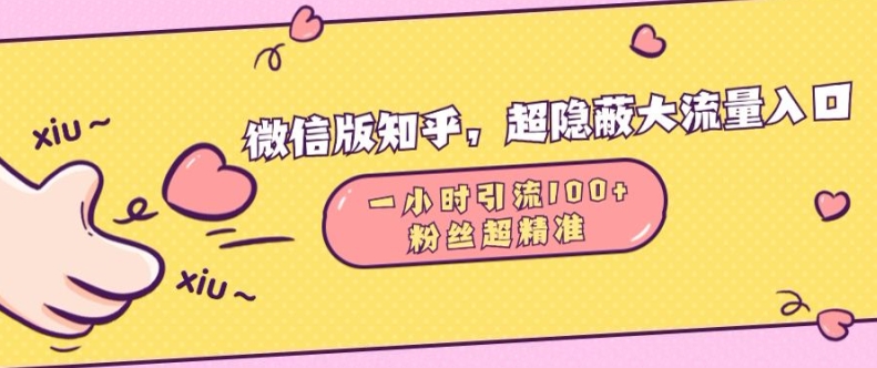 微信版知乎，超隐蔽流量入口1小时引流100人，粉丝质量超高【揭秘】-汇智资源网