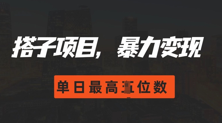 2024搭子玩法，0门槛，暴力变现，单日最高破四位数【揭秘】-汇智资源网