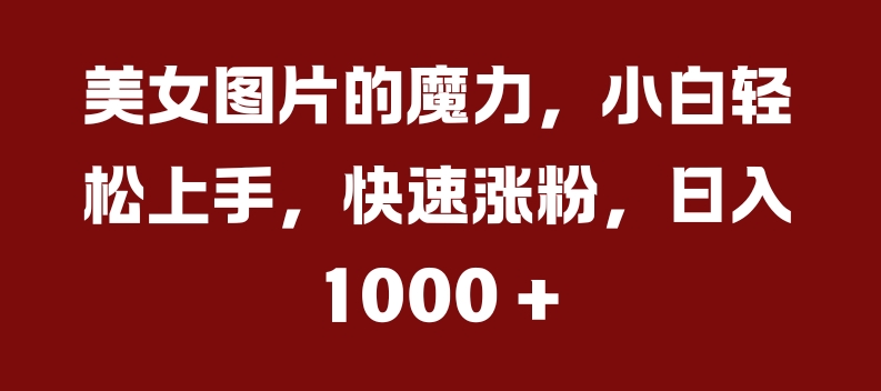 美女图片的魔力，小白轻松上手，快速涨粉，日入几张【揭秘】-汇智资源网