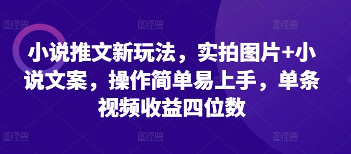 小说推文新玩法，实拍图片+小说文案，操作简单易上手，单条视频收益四位数-汇智资源网